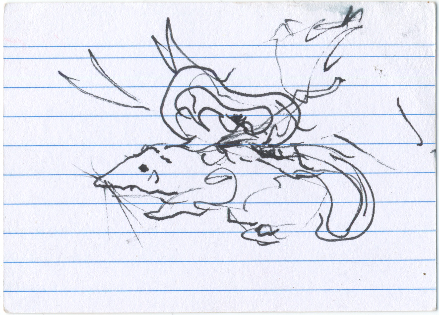 card recto
