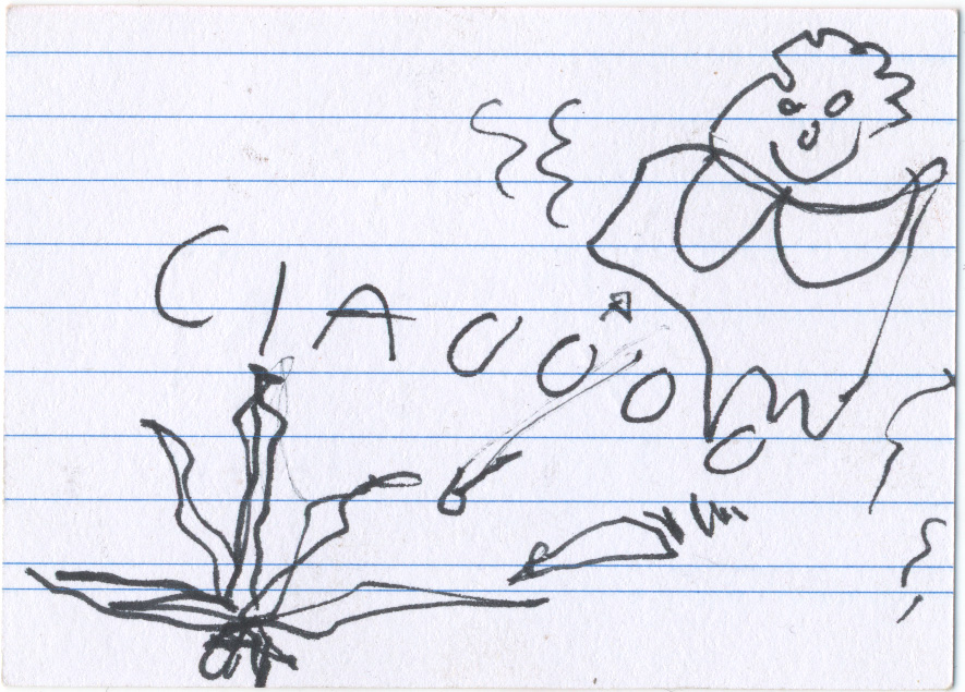 card verso