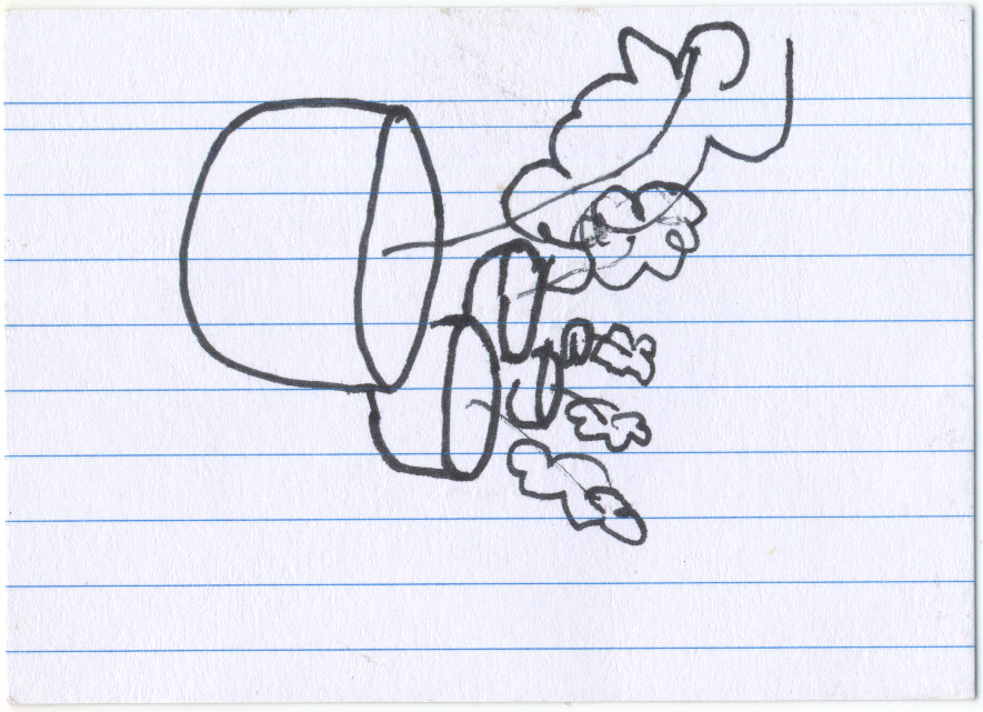 card verso
