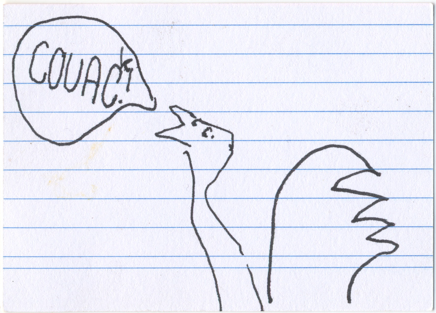 card verso