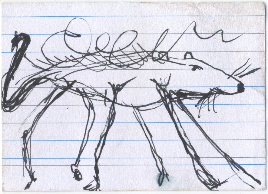 card verso