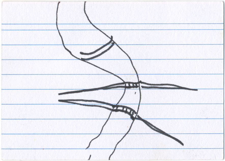 card recto