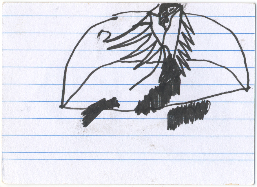 card recto