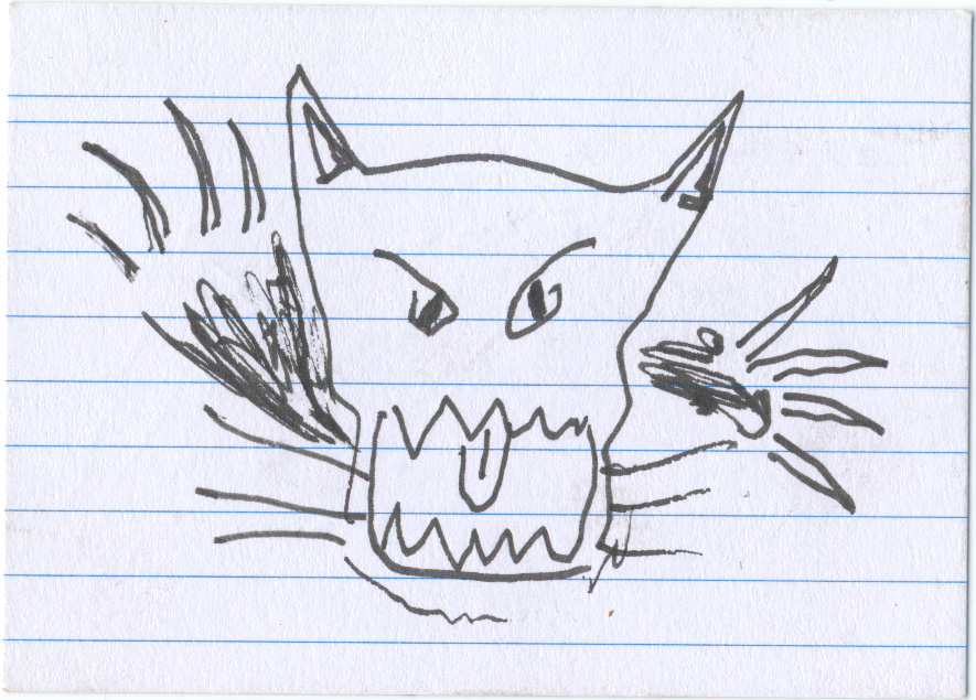 card recto