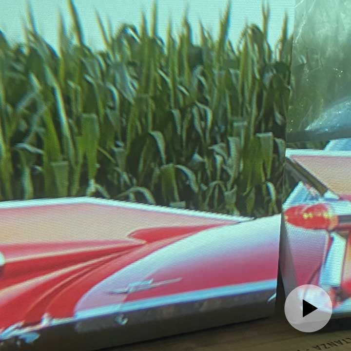 spoiling video